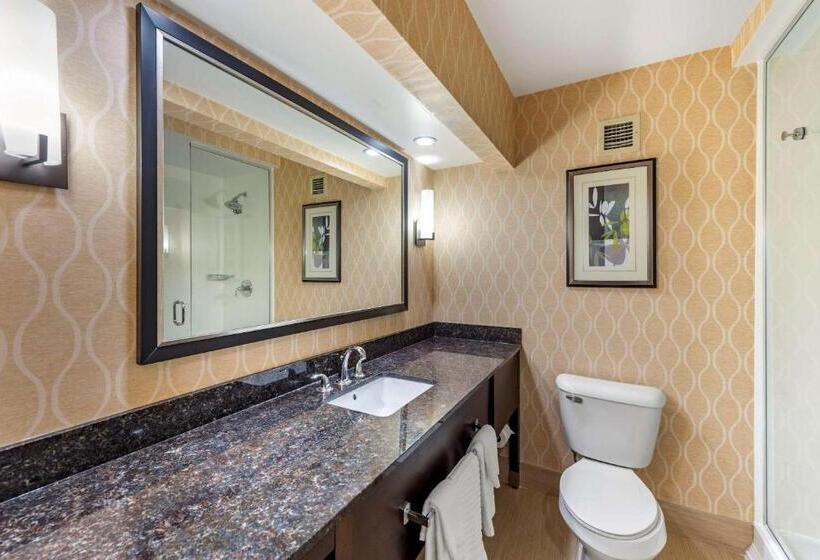 스위트 킹사이즈 침대, Comfort Suites Chesapeake  Norfolk