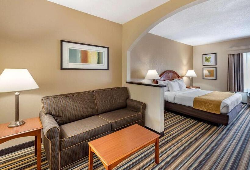 스위트 킹사이즈 침대, Comfort Suites Chesapeake  Norfolk