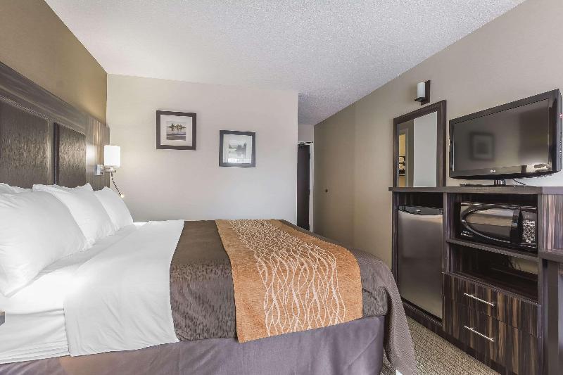 스탠다드 룸 퀸사이즈 침대, Comfort Inn  Trenton