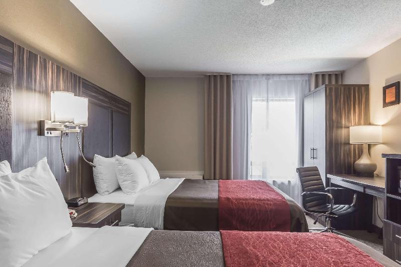 스탠다드 룸 퀸사이즈 침대, Comfort Inn  Trenton