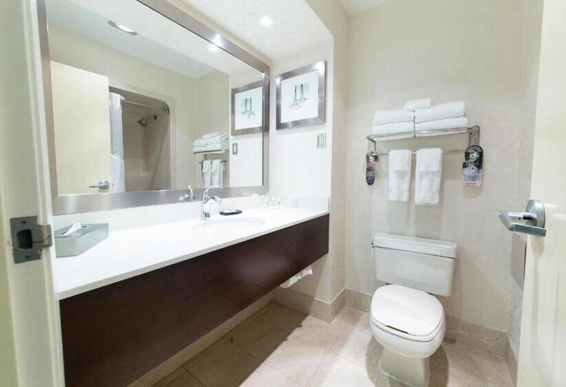 スタンダードルーム, Holiday Inn & Suites Windsor Ambassador Bridge By Ihg