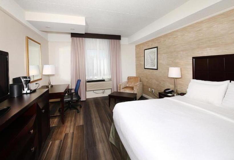 キングサイズベッドのスタンダードルーム, Holiday Inn & Suites Windsor Ambassador Bridge By Ihg