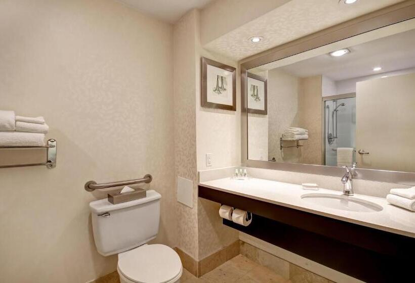 Handikappsanpassat Standard Rum, Holiday Inn & Suites Windsor Ambassador Bridge By Ihg