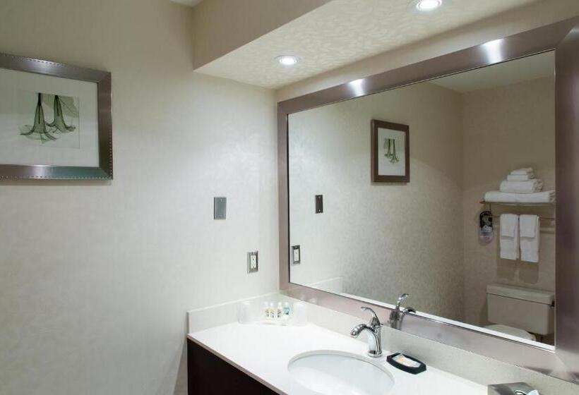 キングサイズベッドのスイートルーム, Holiday Inn & Suites Windsor Ambassador Bridge By Ihg