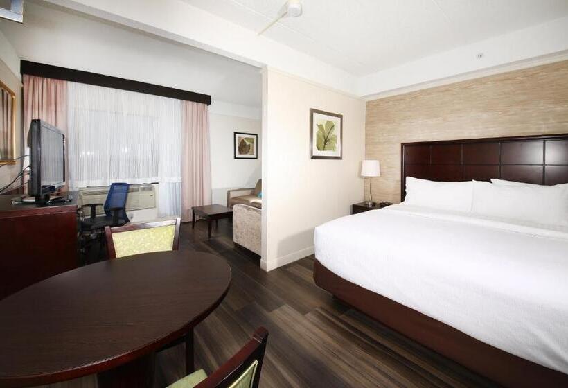 キングサイズベッドのスイートルーム, Holiday Inn & Suites Windsor Ambassador Bridge By Ihg