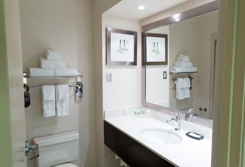 スタンダードルーム, Holiday Inn & Suites Windsor Ambassador Bridge By Ihg