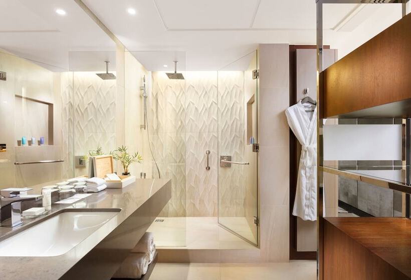 豪华房间, Mandarin Oriental Santiago