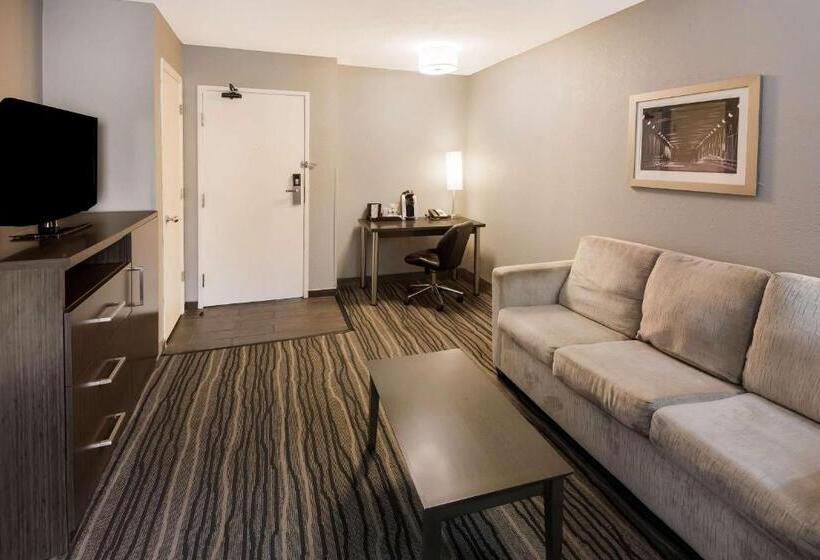 스위트 킹사이즈 침대, Best Western Riverside Inn