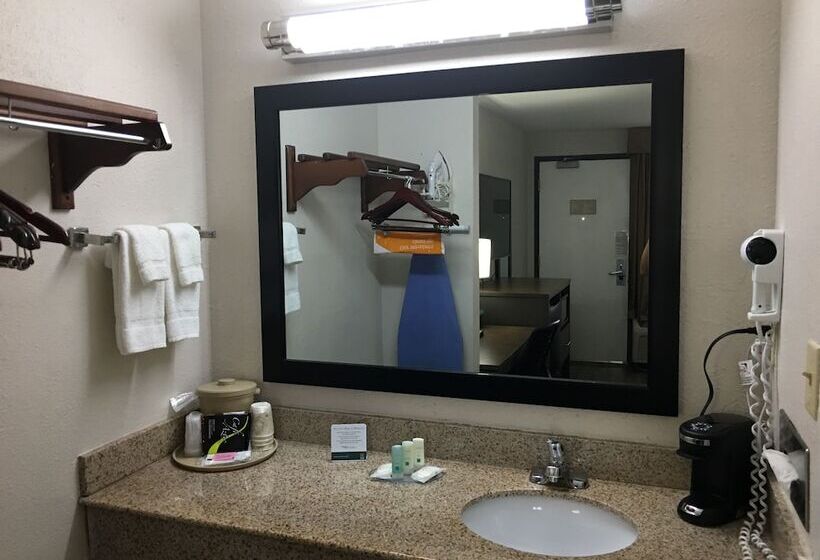 Номер Стандарт 2 Двуспальные Кровати, Quality Inn Greenville Near University