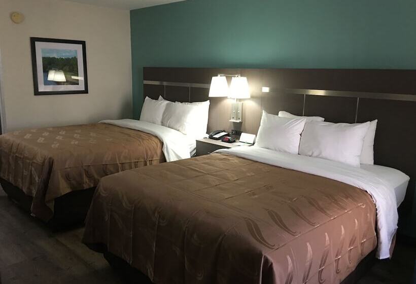 Номер Стандарт 2 Двуспальные Кровати, Quality Inn Greenville Near University