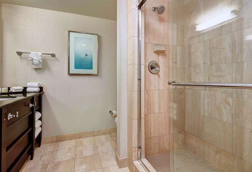디럭스 스위트 킹 침대, Embassy Suites By Hilton Temecula Valley Wine Country