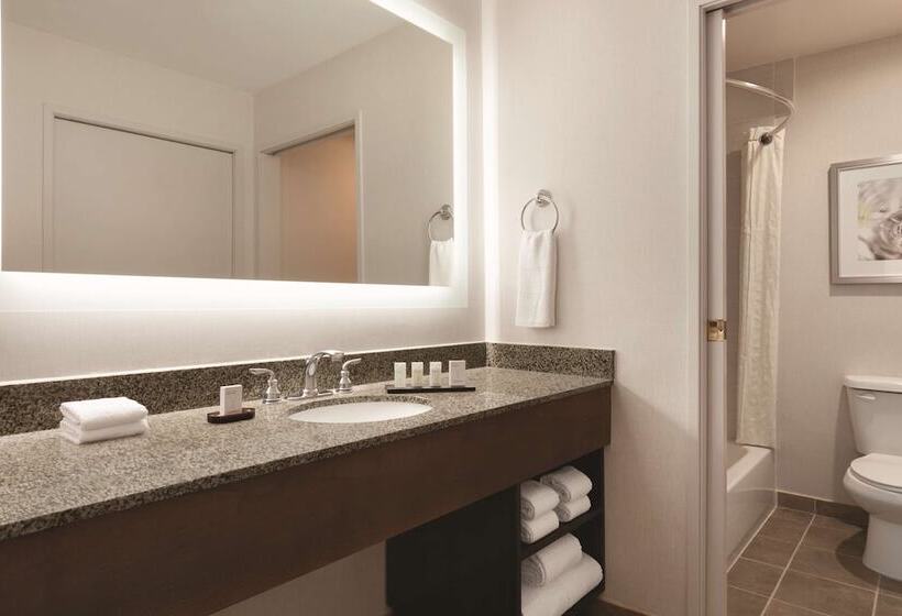 스탠다드 룸 더블 침대, Embassy Suites By Hilton Temecula Valley Wine Country