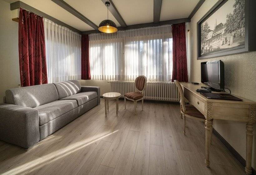 Четырехместный Номер Стандарт, Hôtel Du Parc, Restaurant, Spa & Wellness