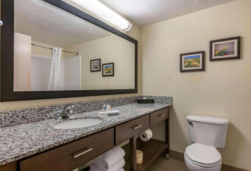 Suíte Cama King, Comfort Suites Maingate East