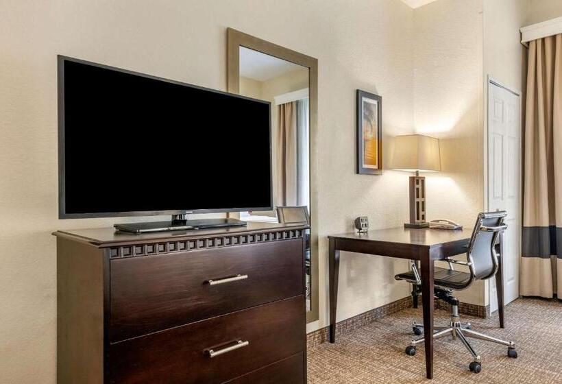Люкс, Comfort Suites Maingate East