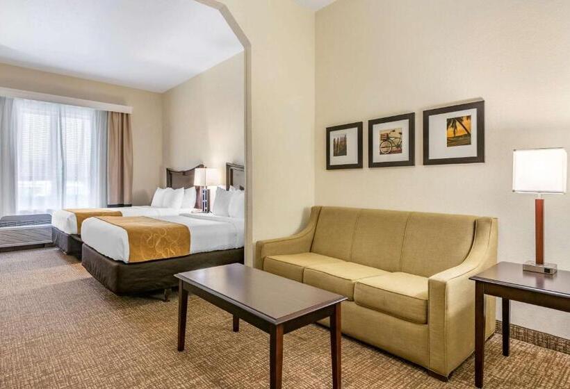 Люкс, Comfort Suites Maingate East