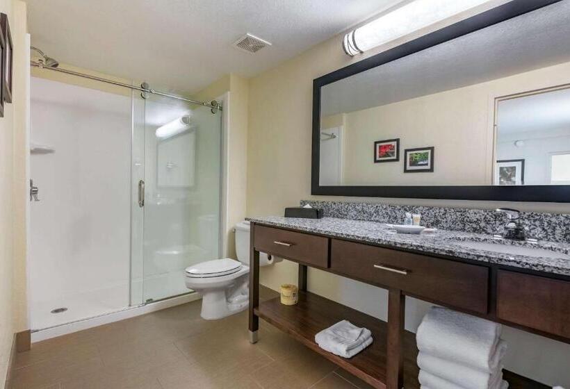 Люкс Адаптированный для Инвалидов, Comfort Suites Maingate East