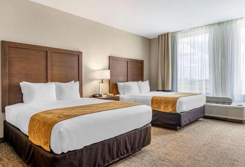 Люкс Адаптированный для Инвалидов, Comfort Suites Maingate East