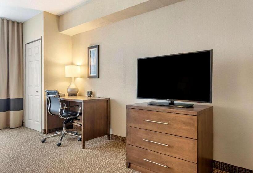 Suíte para Deficientes Físicos, Comfort Suites Maingate East