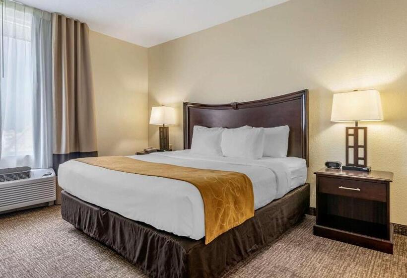 Люкс, Comfort Suites Maingate East