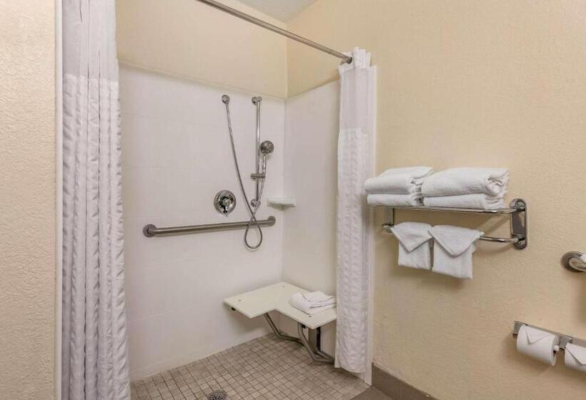 Люкс Адаптированный для Инвалидов, Comfort Suites Maingate East