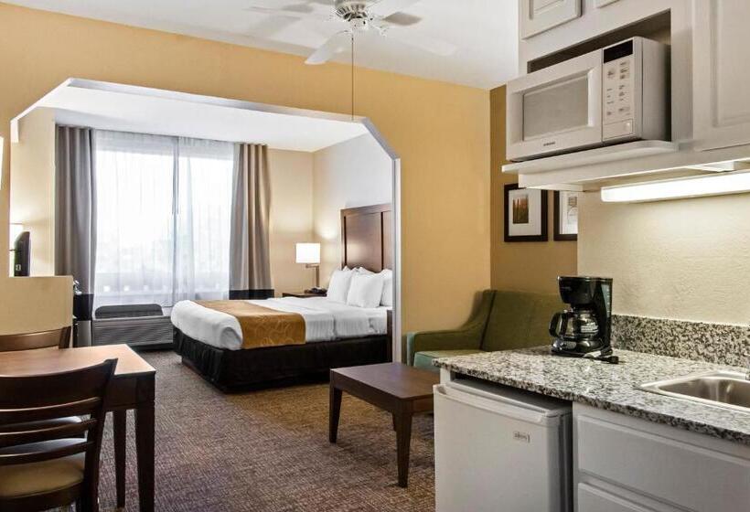 Suíte para Deficientes Físicos, Comfort Suites Maingate East