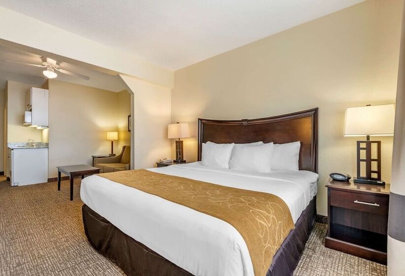 Люкс, Comfort Suites Maingate East