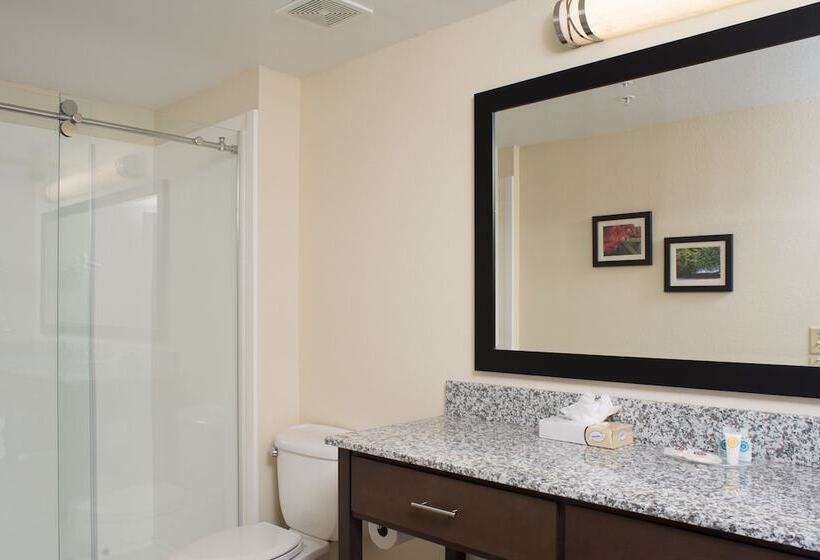 Suíte para Deficientes Físicos, Comfort Suites Maingate East