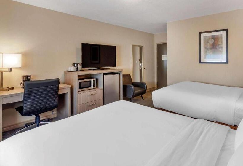 Номер бизнес-класса, Comfort Inn & Suites Thousand Islands Harbour District