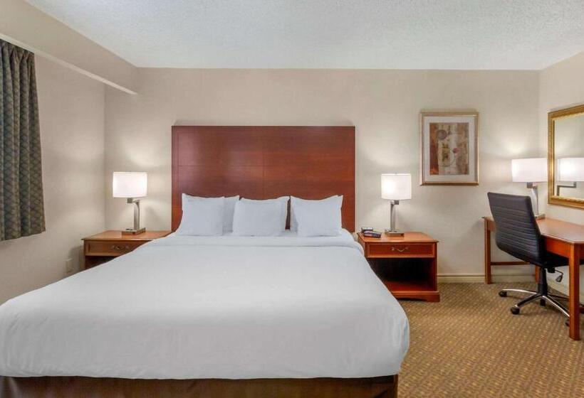 Номер бизнес-класса, Comfort Inn & Suites Thousand Islands Harbour District