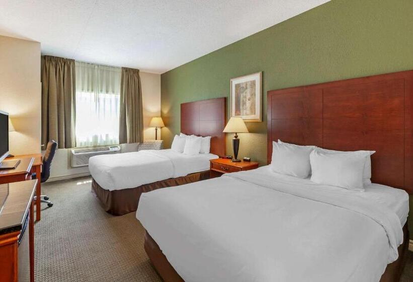 Номер бизнес-класса, Comfort Inn & Suites Thousand Islands Harbour District