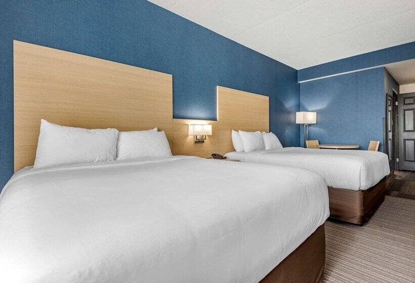 Люкс, Quality Inn & Suites