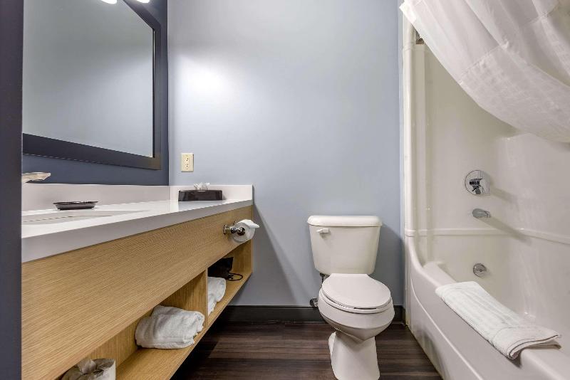 Стандартный Номер Кровать Кинг, Quality Inn & Suites