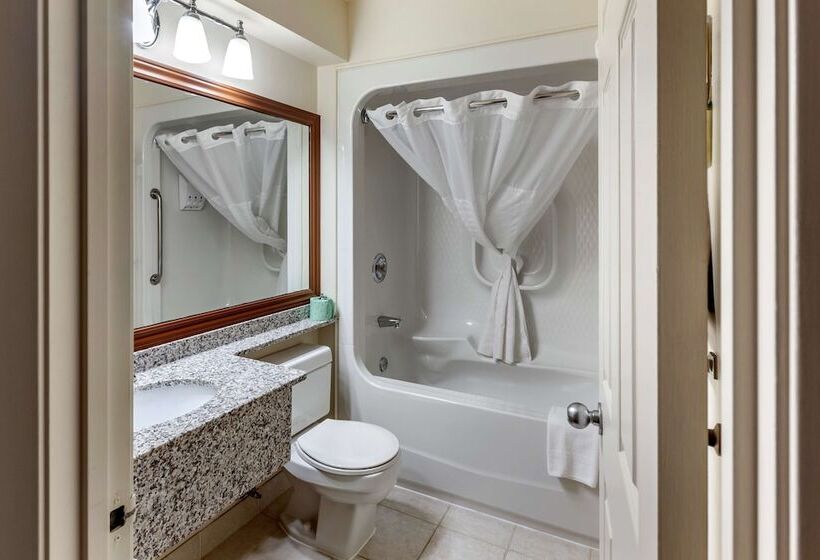 Номер Стандарт 2 Двуспальные Кровати, Surestay Plus Hotel By Best Western Kincardine