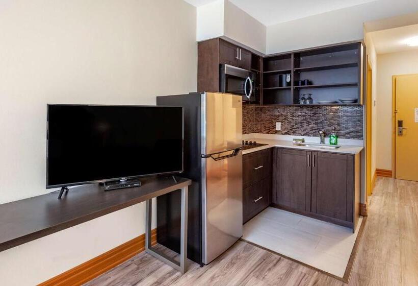 Номер Стандарт Индивидуальный, Surestay Plus Hotel By Best Western Kincardine