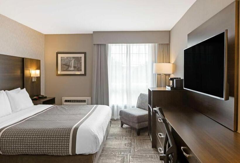 Номер Стандарт, Best Western Milton
