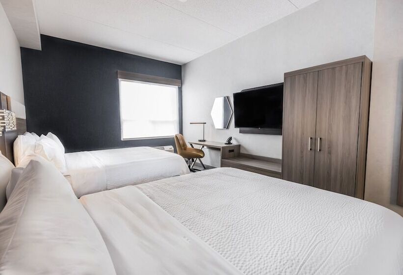 带2个双人床的标准工作室, Holiday Inn Express Toronto North York, An Ihg