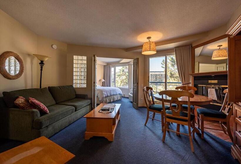 １ベッドルームアパートメント, Hebergement Montsteanne Condos