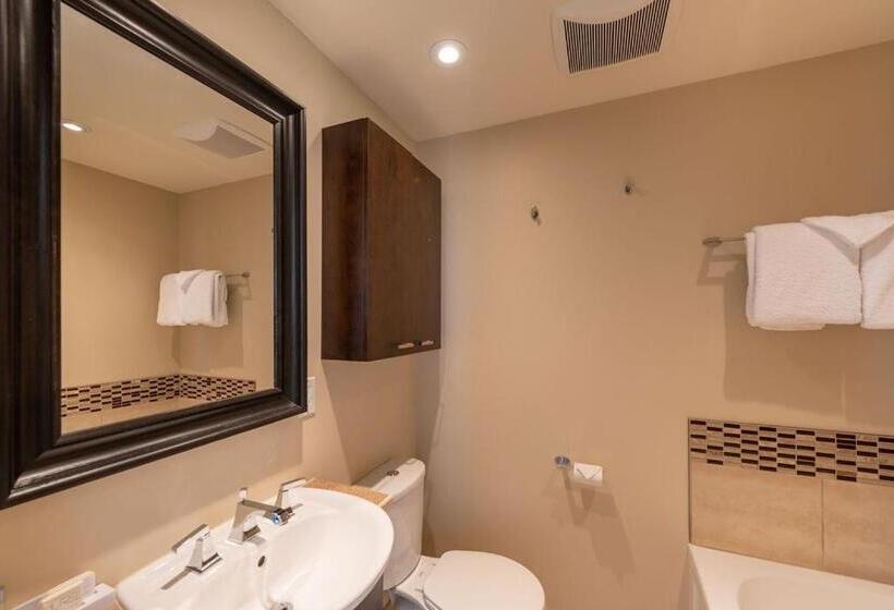 ３ベッドルームアパートメント, Hebergement Montsteanne Condos