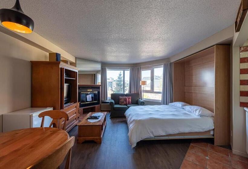 １ベッドルームアパートメント, Hebergement Montsteanne Condos