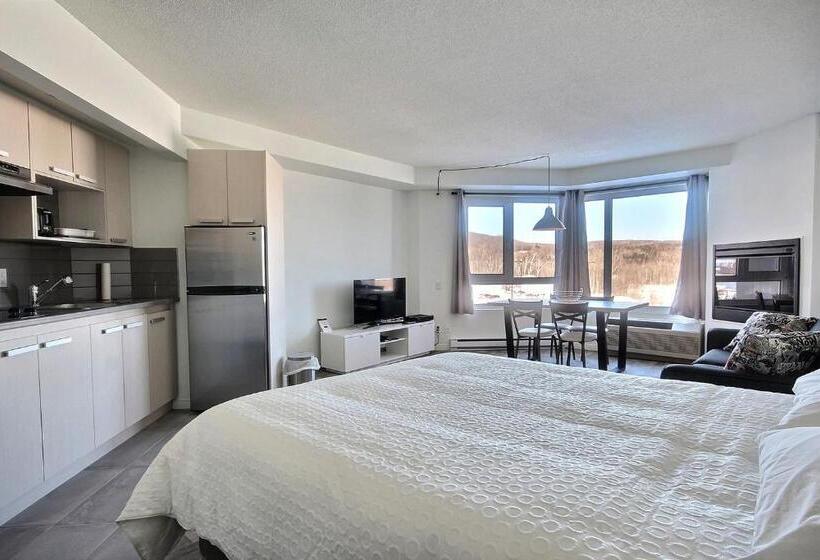 １ベッドルームのスーペリアアパートメント, Hebergement Montsteanne Condos
