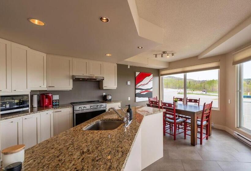 ３ベッドルームアパートメント, Hebergement Montsteanne Condos