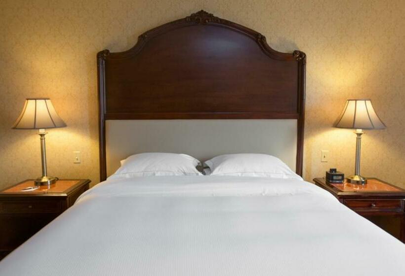 带大床的高级房间, Barcelo San Salvador