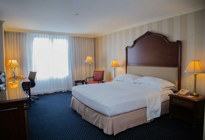 带大床的高级房间, Barcelo San Salvador