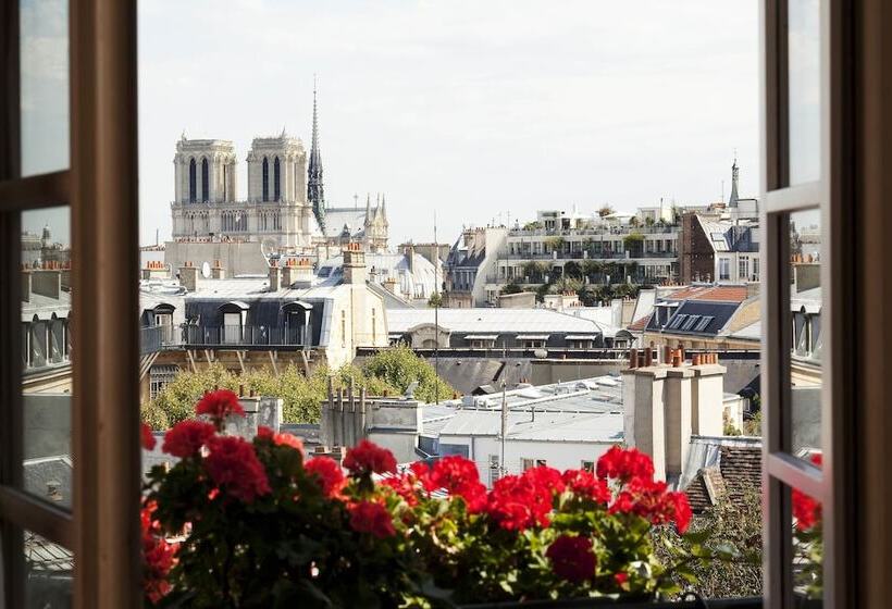 Люкс, Left Bank Saintgermain