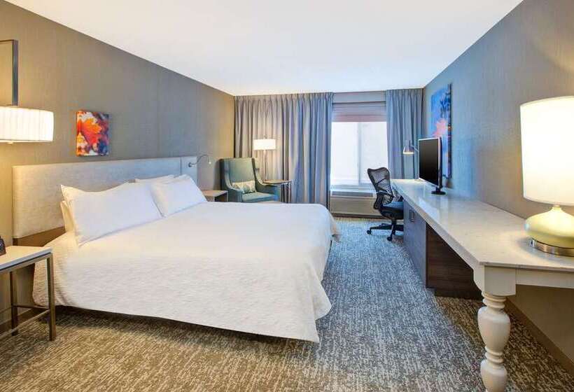 Номер Стандарт Кровать Кинг Адаптированный для Инвалидов, Hilton Garden Inn Lansing West
