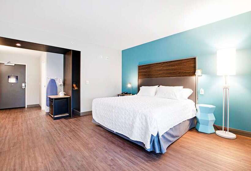 Номер Стандарт Кровать Кинг Адаптированный для Инвалидов, Hilton Garden Inn Lansing West