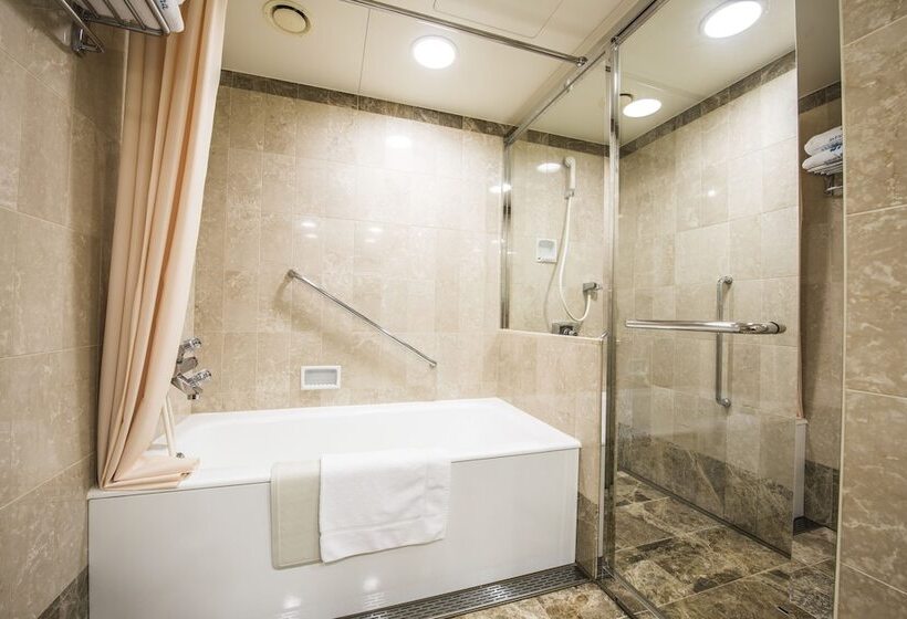 디럭스 룸, Okura Act City Hotel Hamamatsu