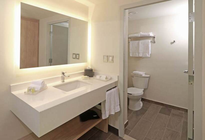 スタンダードルーム, Holiday Inn   Ciudad Juarez, An Ihg