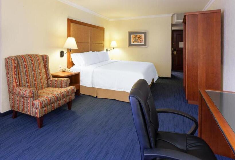 غرفة قياسية سرير كينج, Holiday Inn Express Oaxaca   Centro Historico, An Ihg